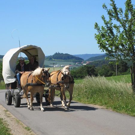 Urlaubspension 'Hohes Rott' Und Apartmenthaus Heiligenstadt Екстериор снимка