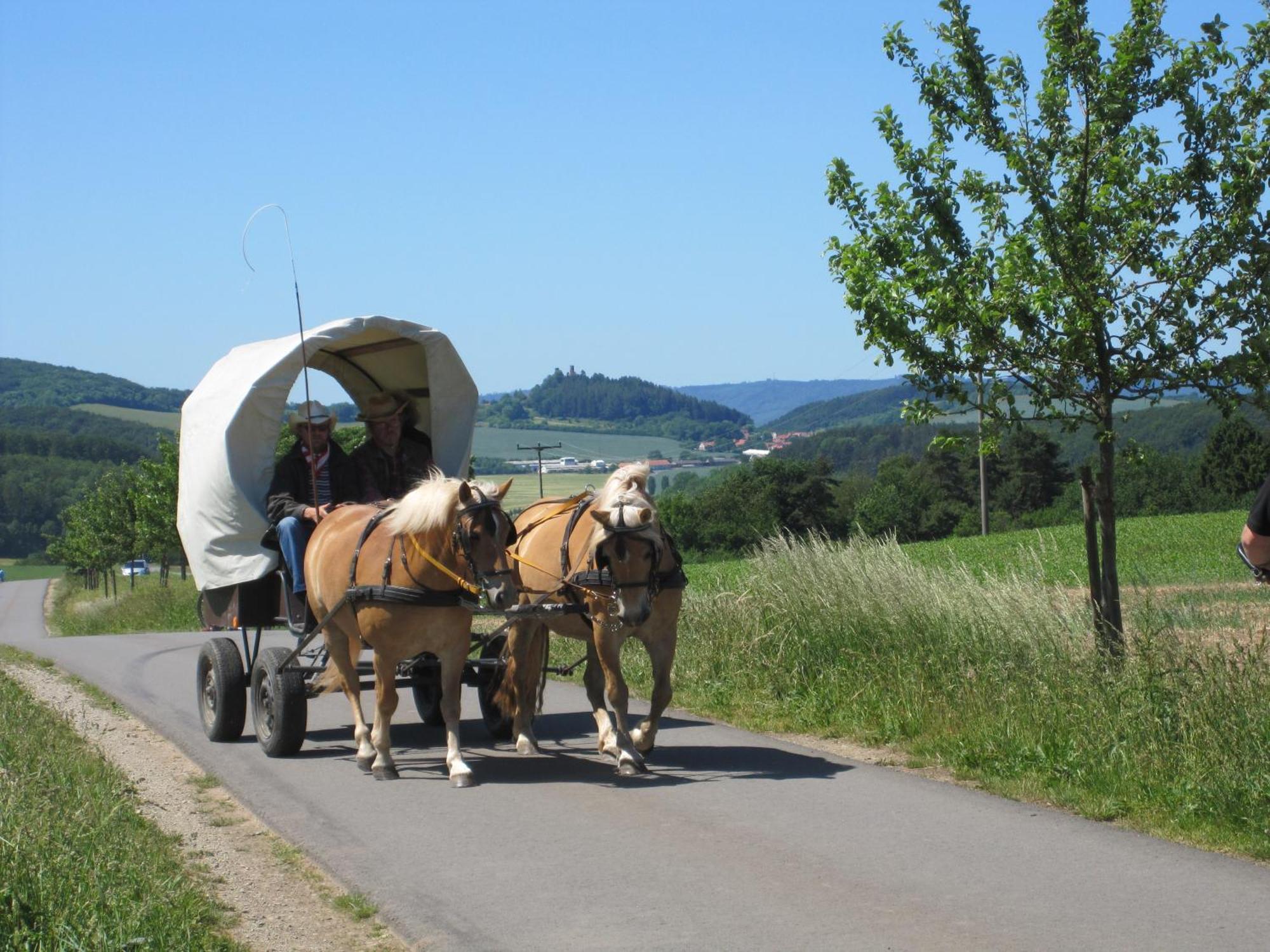 Urlaubspension 'Hohes Rott' Und Apartmenthaus Heiligenstadt Екстериор снимка